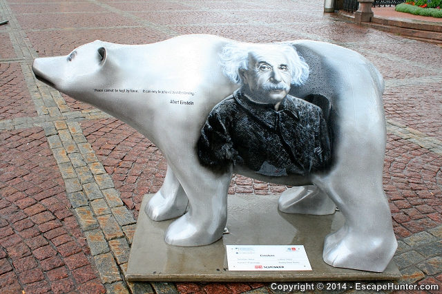 Einstein bear