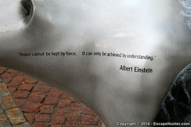 Einstein bear quote