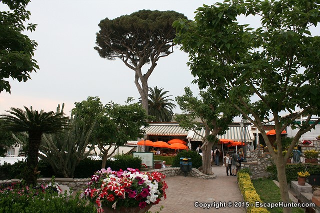 Plants on Capri