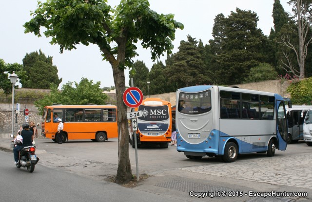 Multiple small buses