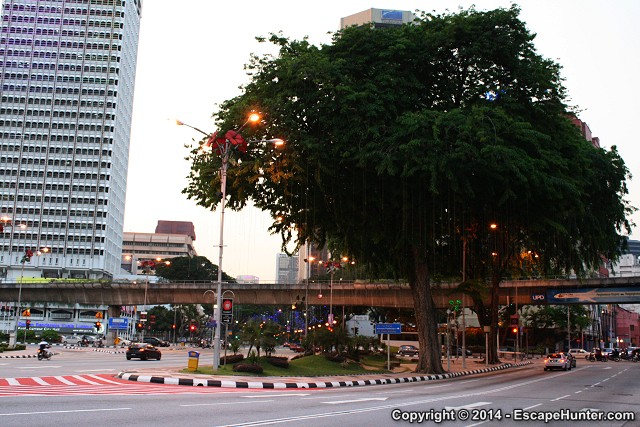 Huge tree in Kuala Lumpur