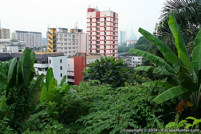 House blocks and dense vegetation