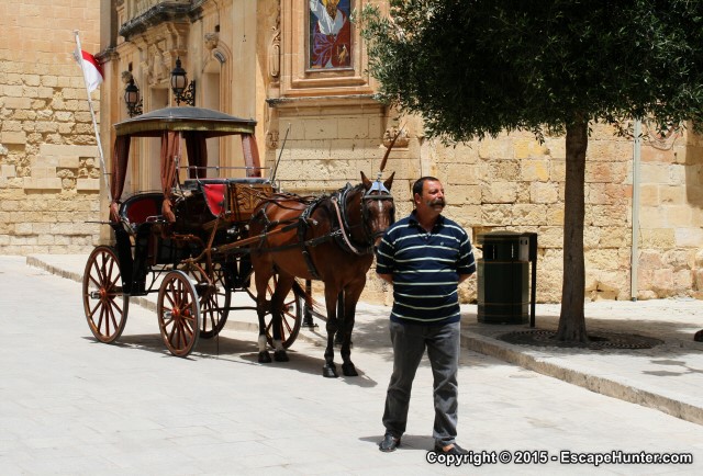 Chariot in Mdina