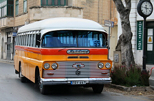 The Maltese buses