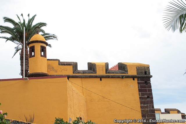 São Tiago Fortress and palm