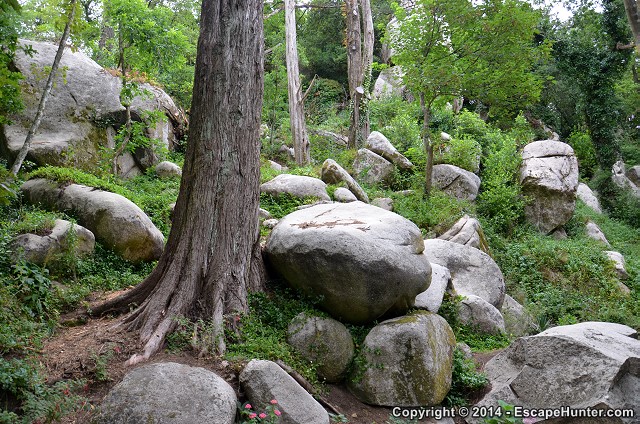 Boulders in the fortress