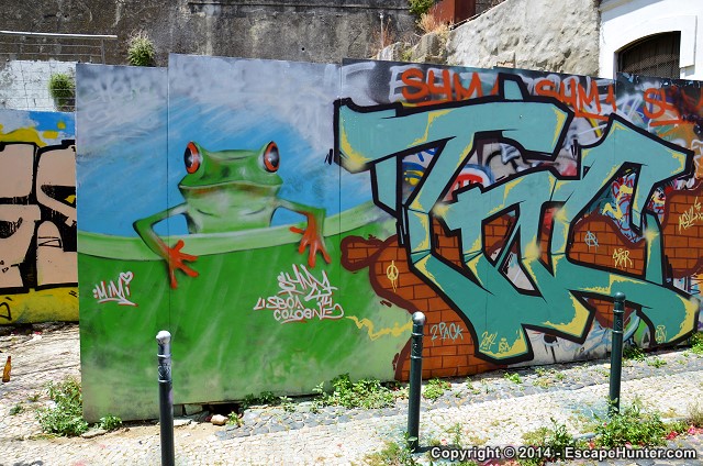 Frog street art