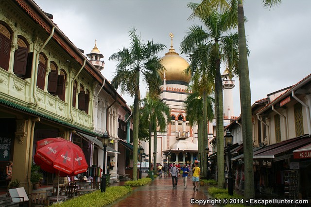 Masjid Sultan behind palms