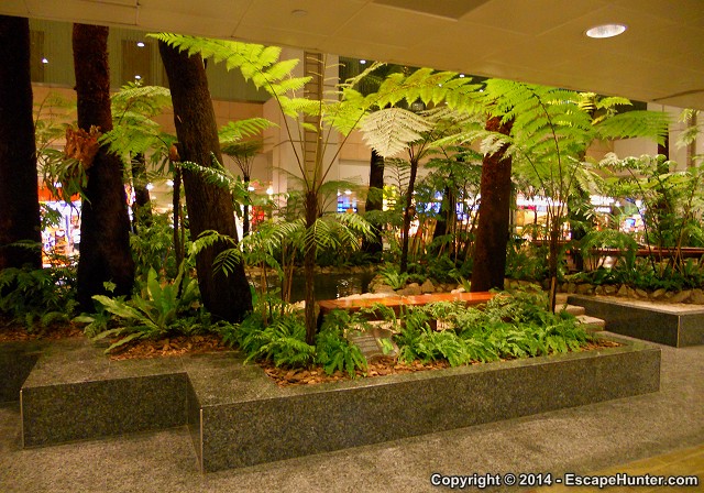 Green area inside Changi Airport