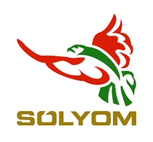 Sólyom Airways