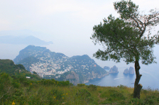 Capri island trip