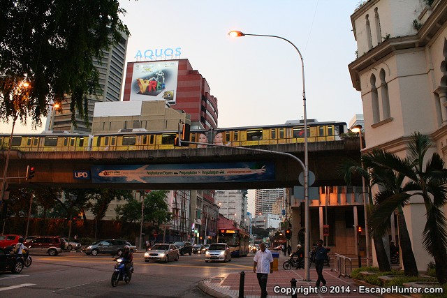 Immense tree in Kuala Lumpur