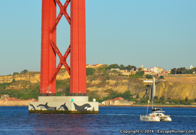 Painted dolphins and whales