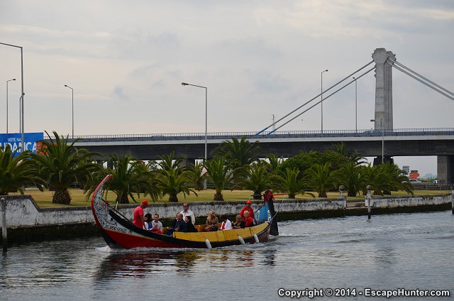 Palm trees in Aveiro