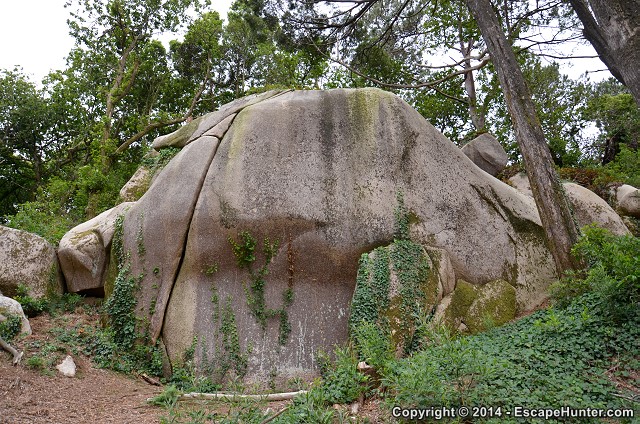 Round boulder in the forest