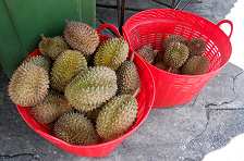 Durians