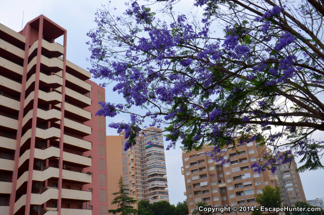 Quiet apartment blocks