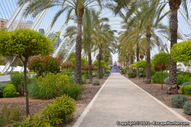 Palm trees in the Umbracle