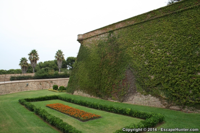 Vegetation on walls
