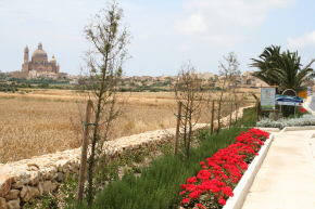 Gozo rural sight
