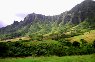 Maui guide